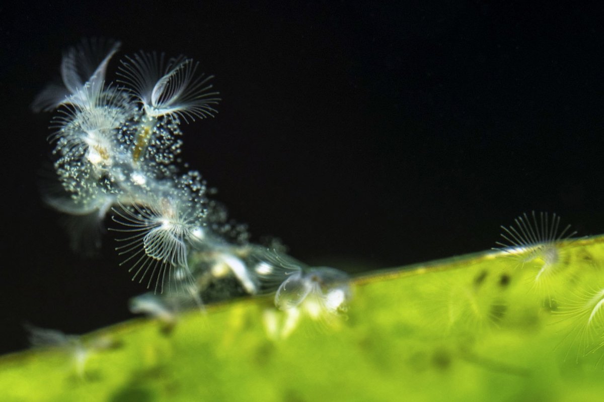  Новость от 27-05-2019