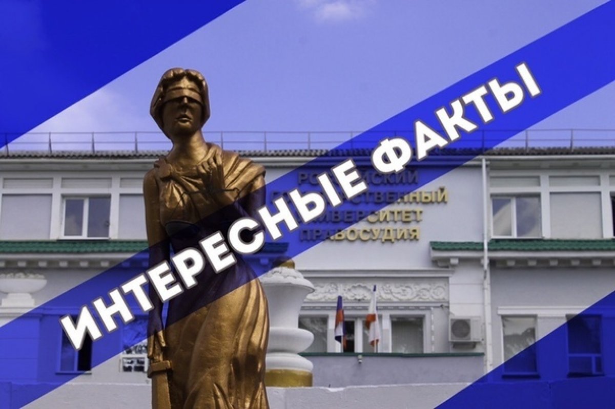 Давайте немного отдохнём от зачётной недели! Предлагаем снова узнать вам несколько фактов о юриспруденции Давайте немного отдохнём от зачётной недели! Предлагаем снова узнать вам несколько фактов о юриспруденции