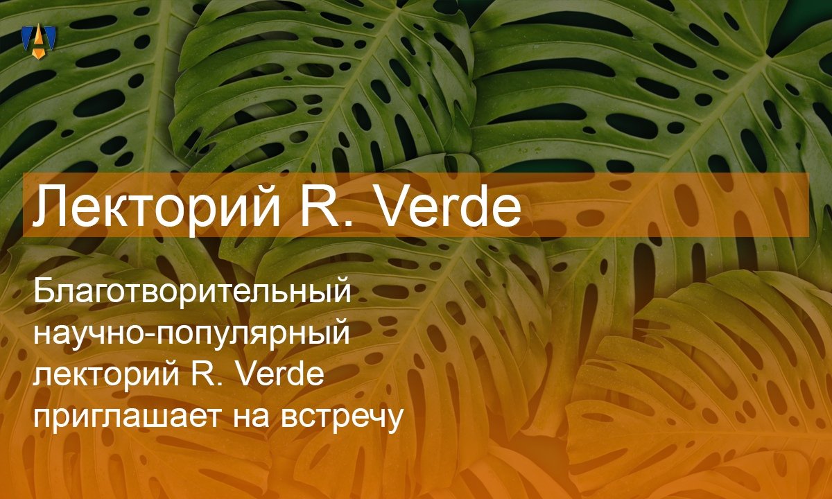 🌳 Новость от 06-06-2019