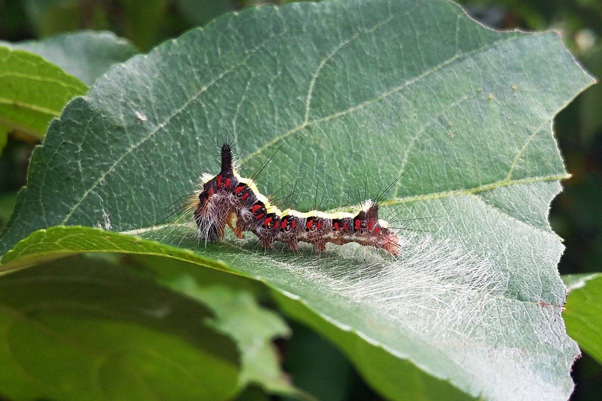 Из экспедиций и практик студентов-биологов