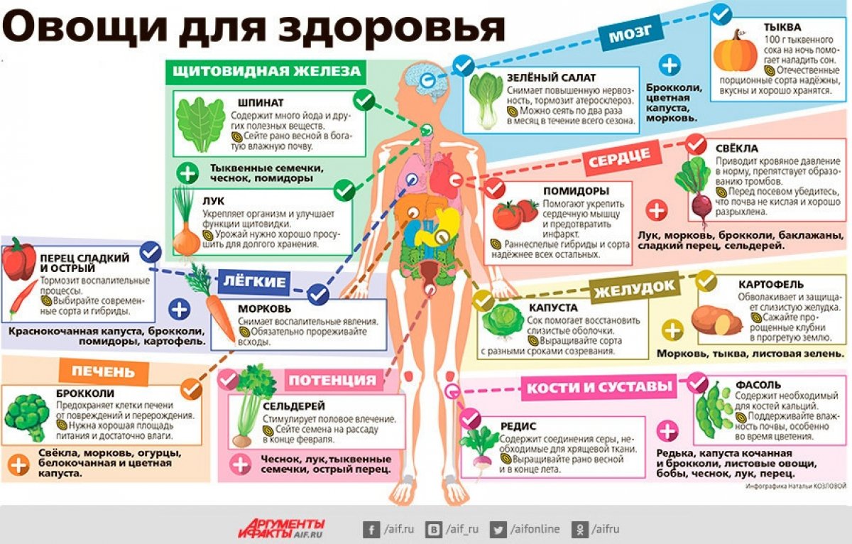 ☘ПОЛЕЗНАЯ ИНФОГРАФИКА