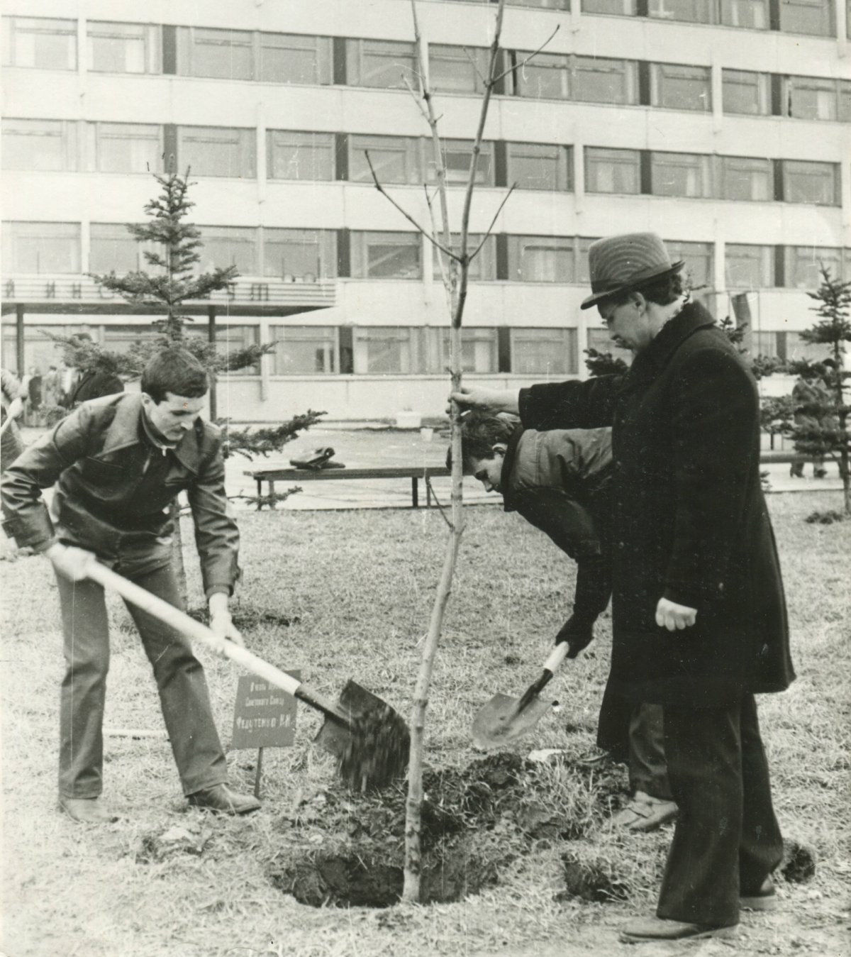 Середина 70-х годов. Началась активная посадка деревьев рядом с нашим любимым университетом. Теперь это место не узнать! Середина 70-х годов. Началась активная посадка деревьев рядом с нашим любимым университетом. Теперь это место не узнать!