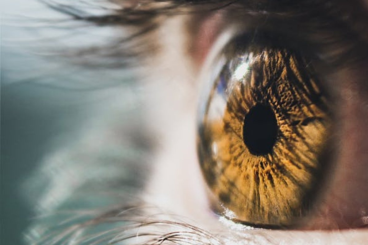 «Наш мозг — это классификационная машина. Он распределяет всё, что мы видим, на множество категорий. Мозг порождает ассоциации, связи между предметами и понятиями, группируя объекты по различным параметрам»