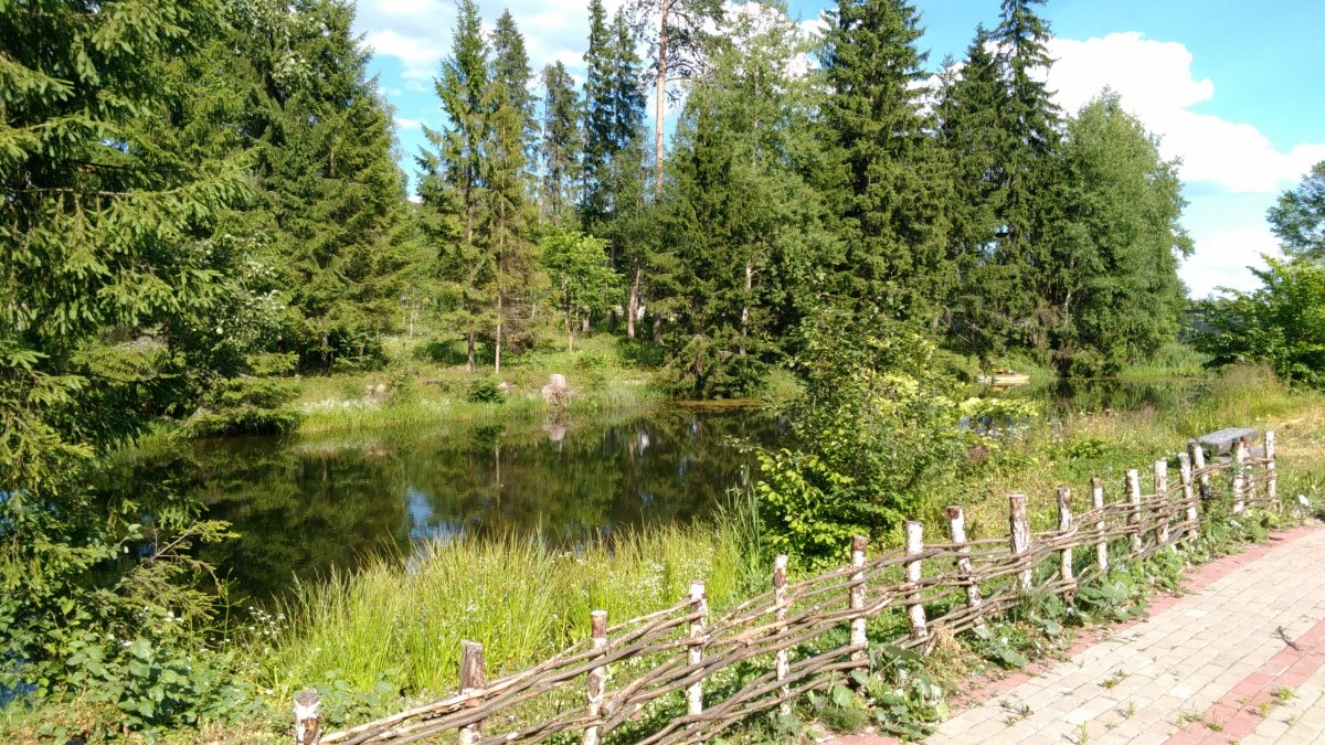 Учебно-оздоровительный комплекс «Лесное озеро» приглашает отдохнуть на берегу Истринского водохранилища в экологически чистой лесопарковой зоне.