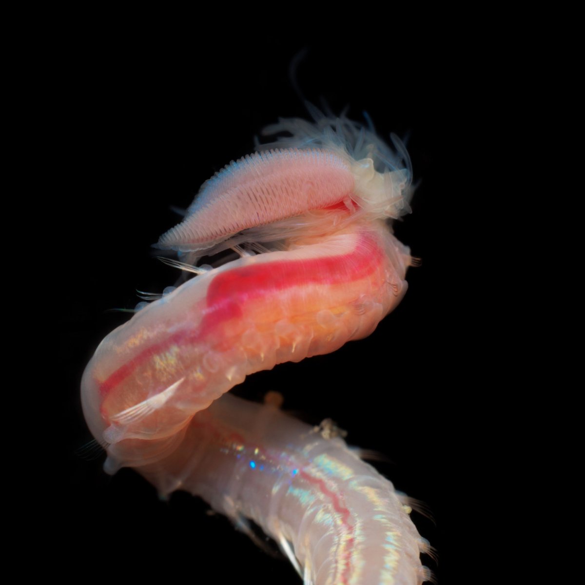  Новость от 16-06-2019