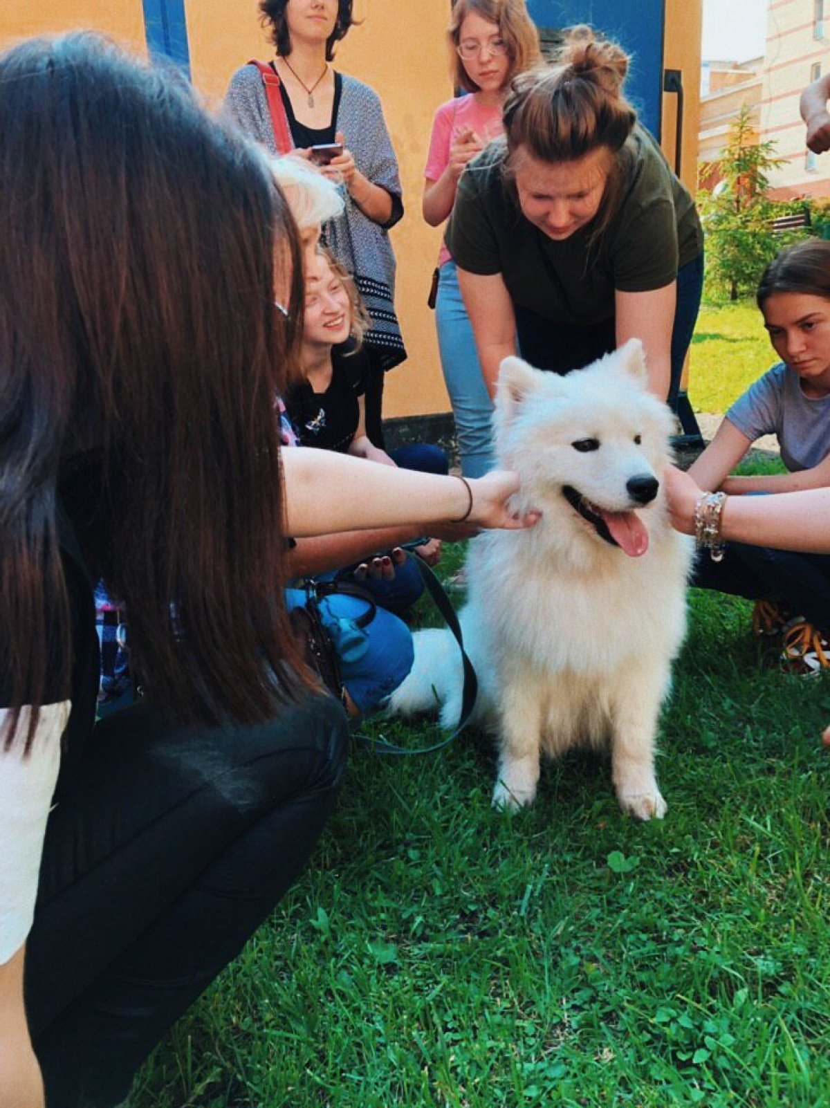 Собаки-терапевты уже побывали в Дубках и, судя по фотографиям, остались всем довольны. Шанс пообщаться с пушистыми врачами еще есть — завтра в полдень они приедут в гости в корпус на Хитровке