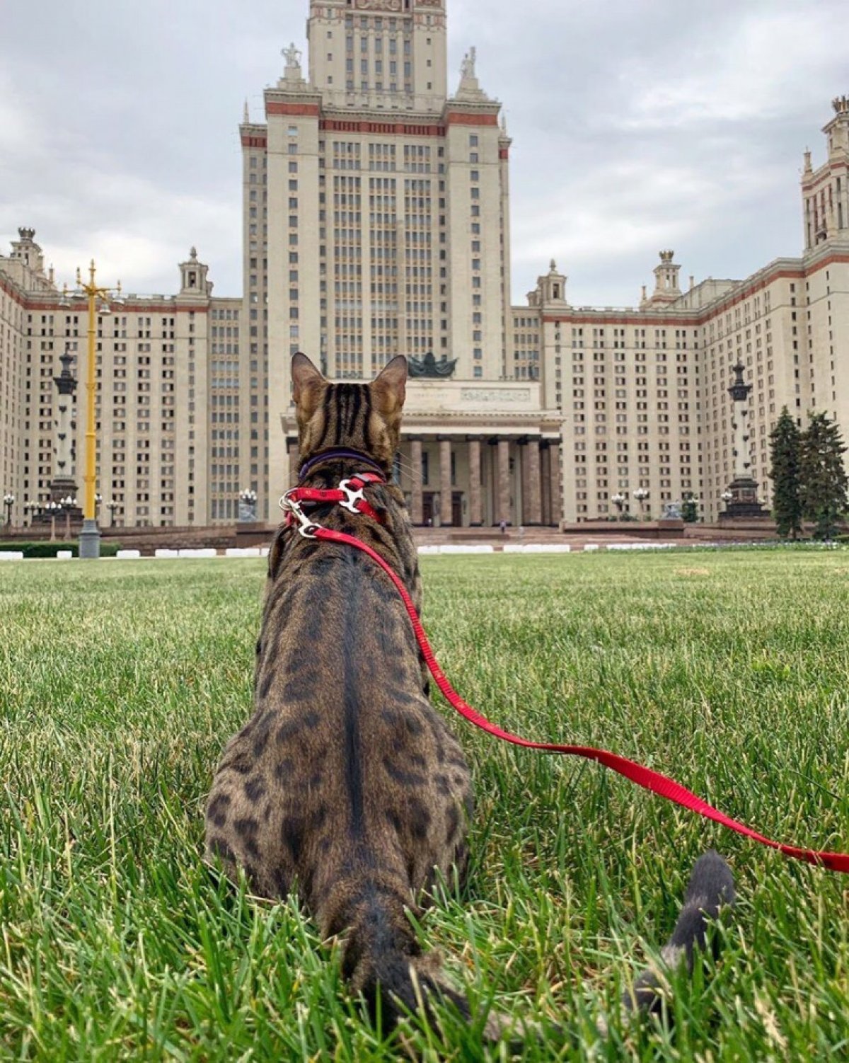 В мечтах Новость от 21-06-2019