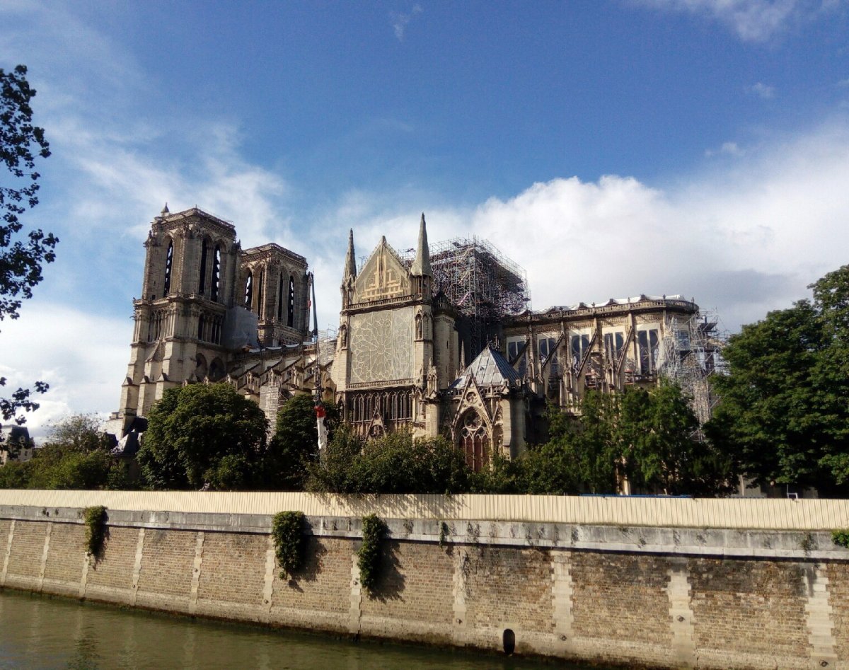 «Людей лишили естественного порядка вещей, и они превратились в призраков, оставив лишь воспоминания»