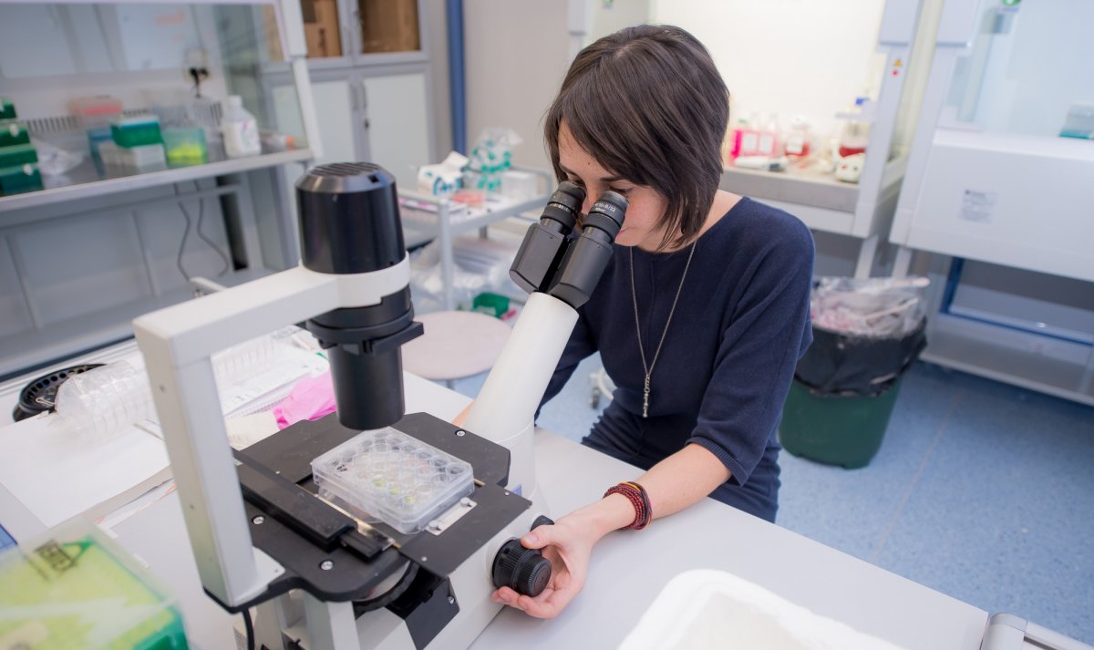 Аспиранты МФТИ Куреев Алексей стали победителями в конкурсе на предоставление научных грантов губернатора Подмосковья