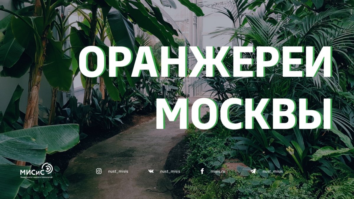 Столичная жара продолжает навевать мечты о тропическом отпуске. Чтобы хотя бы на мгновение очутиться в райском оазисе