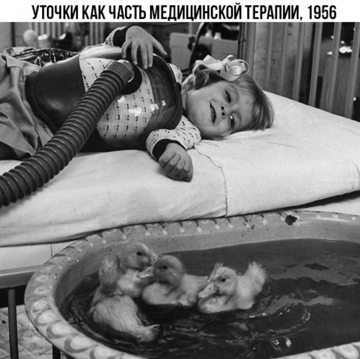 Новость от 28-06-2019