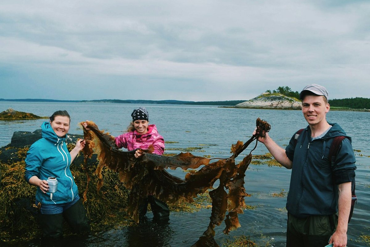 Из экспедиций и практик студентов-биологов