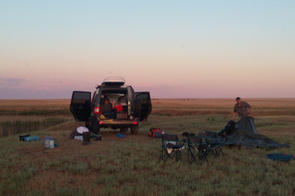 Биологи отправились в экспедицию с целью сбора насекомых из малоизученных регионов России. Результаты будут использованы для последующих филогенетических, филогеографических и эволюционных исследований Биологи отправились в экспедицию с целью сбора насекомых из малоизученных регионов России. Результаты будут использованы для последующих филогенетических, филогеографических и эволюционных исследований