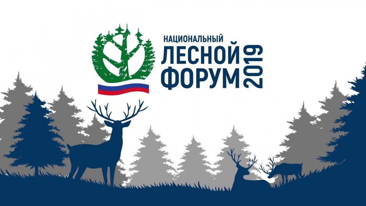 СибГУ им. М. Ф. Решетнева примет участие в «Национальном лесном форуме»