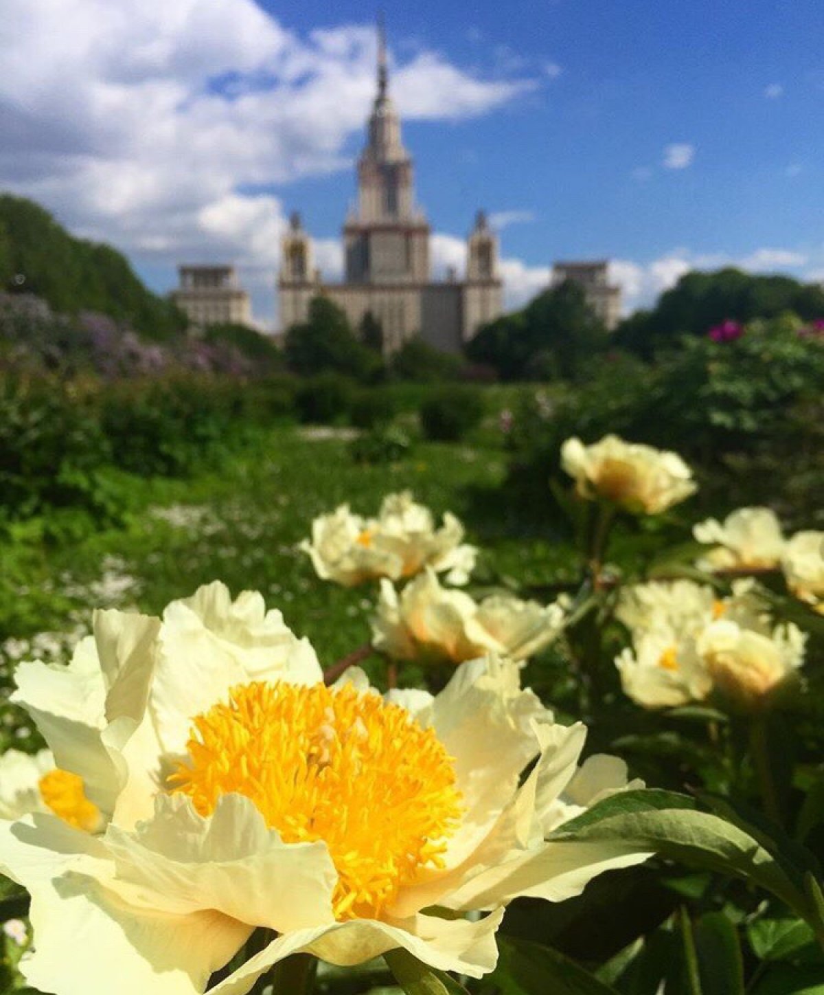 ♥️ Новость от 13-07-2019