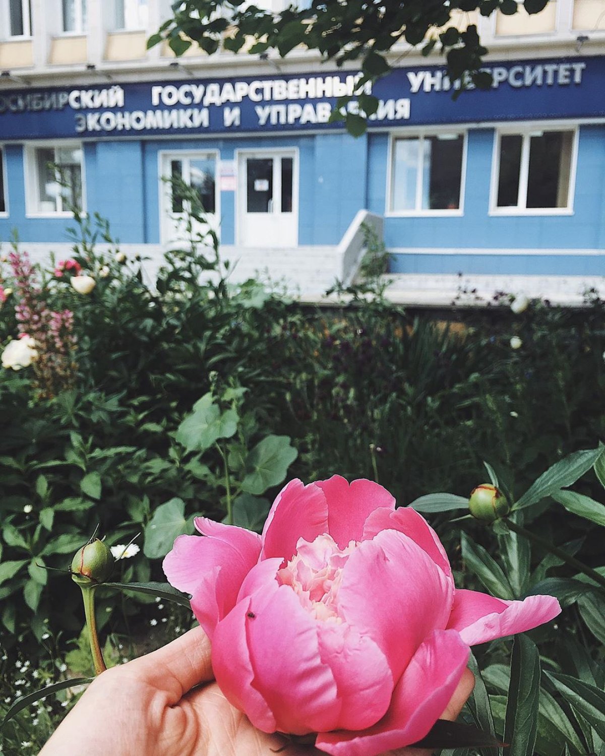 Лето в 🌿 Новость от 20-07-2019