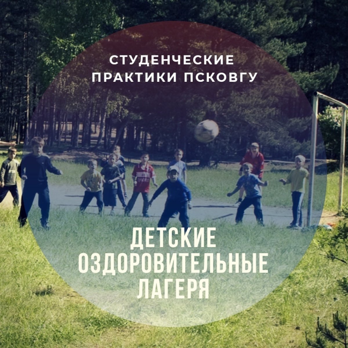 📍Где проходят практику студенты ? Конечно, в самых главных учреждениях и на ведущих предприятиях региона