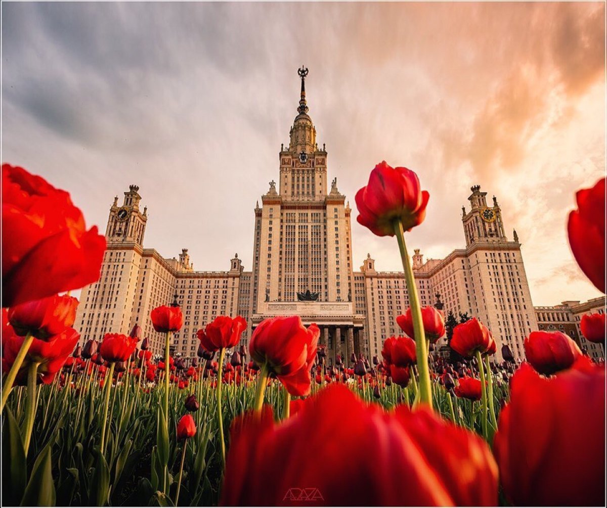 Фото: dmitryabaza