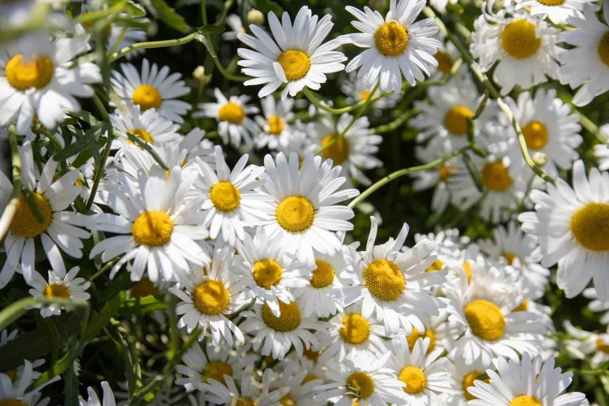 Надеемся, прохладная погода не портит вам настроение 🌼
