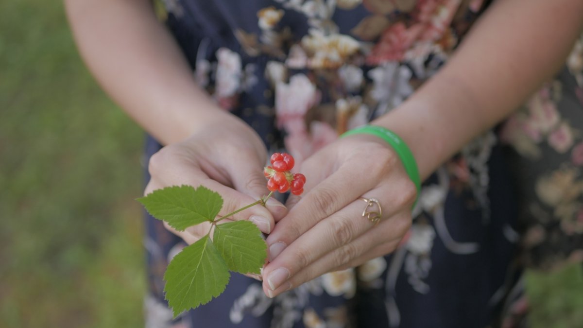Первая смена студентов ВоГУ отдохнула на базе отдыха «Бережок»