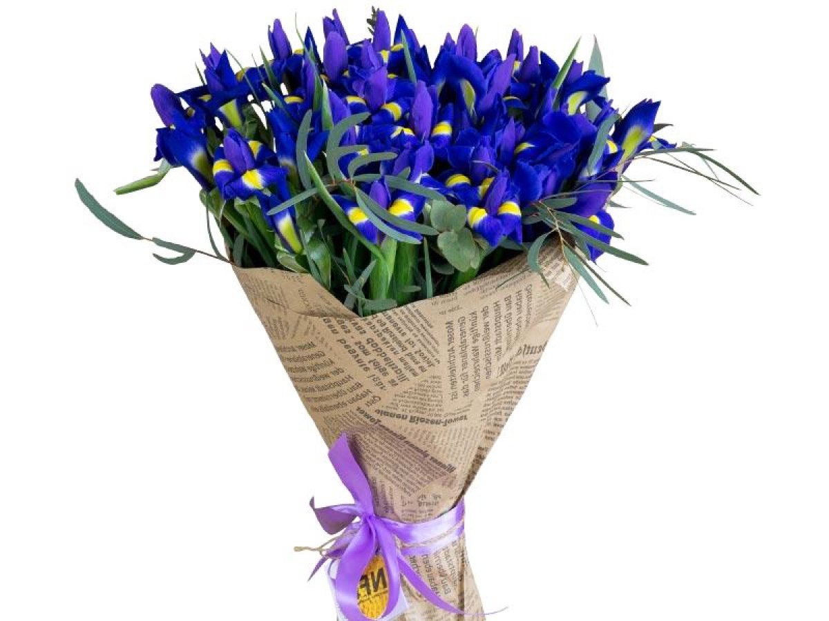 📢 Сегодня, 3 августа, свой день рождения отмечает доктор технических наук, директор Инженерно-строительного института Александр Кочкин!