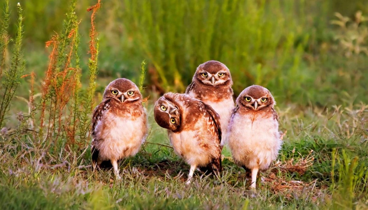 📸 В ВоГУ стартовал конкурс детских фотографий «Живое лето»