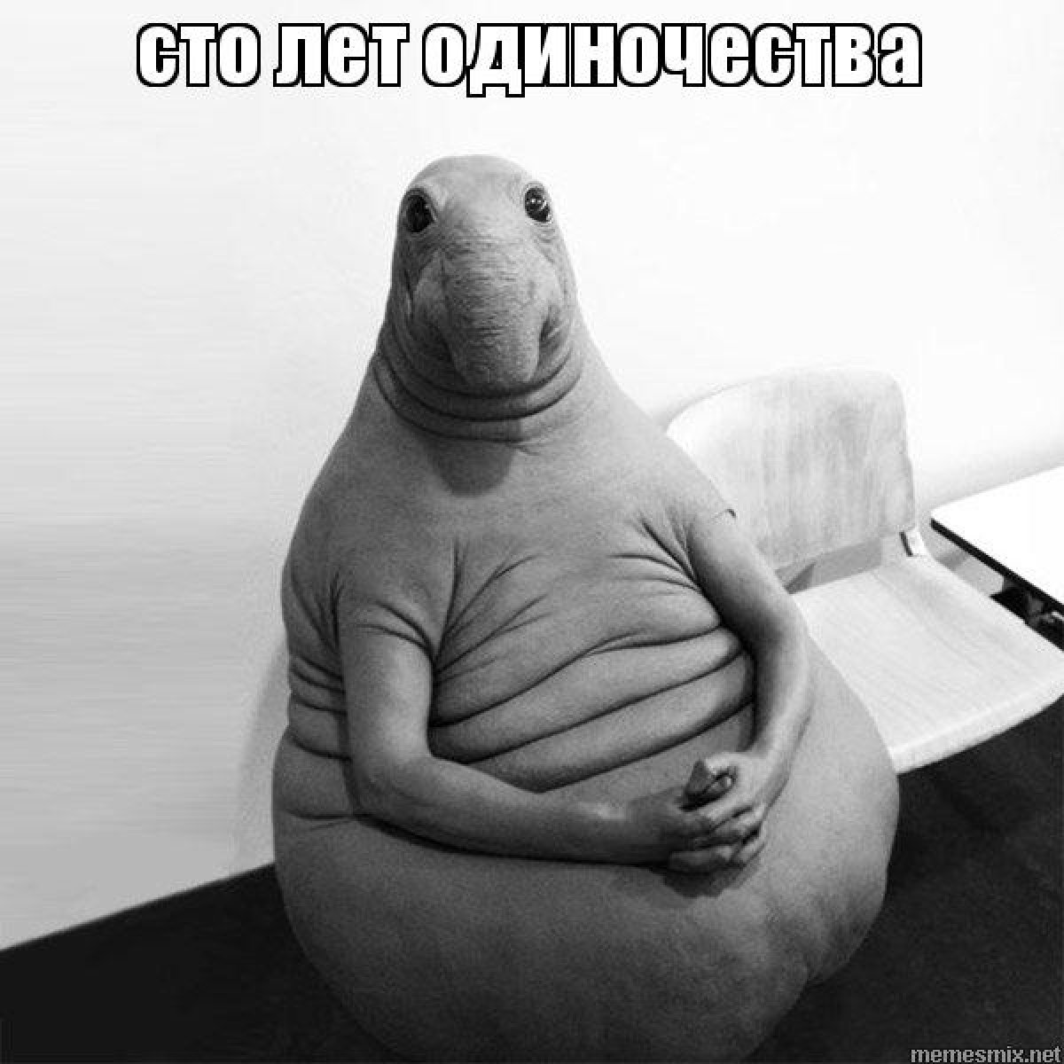 Существует ли такой список, "книги, которые обязательно нужно прочесть", и какие именно произведения должны в него входить? Кто знает... А мы предлагаем вам 5 хороших книг, уважаемых всем миром