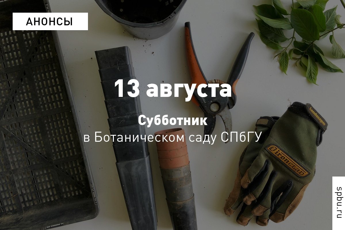 Университет начинает реализацию проекта безотходного производства в Ботаническом саду. Первая задача — расчистить компостные кучи (которые заросли сорняками) для получения ценного органического ресурса