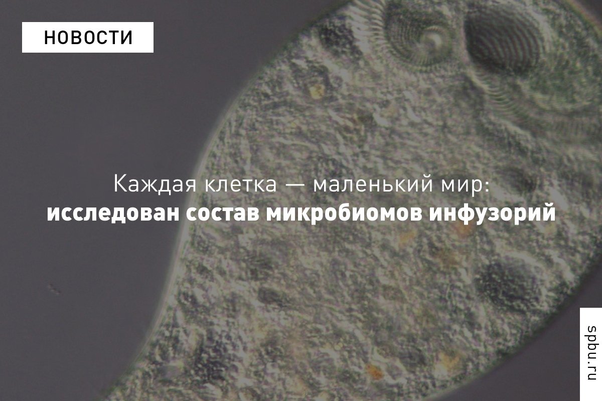 Учёные представили одно из первых в мире исследований микробиомов одноклеточных эукариот, которое формирует новое научное направление: https://vk.cc/9GOHSL