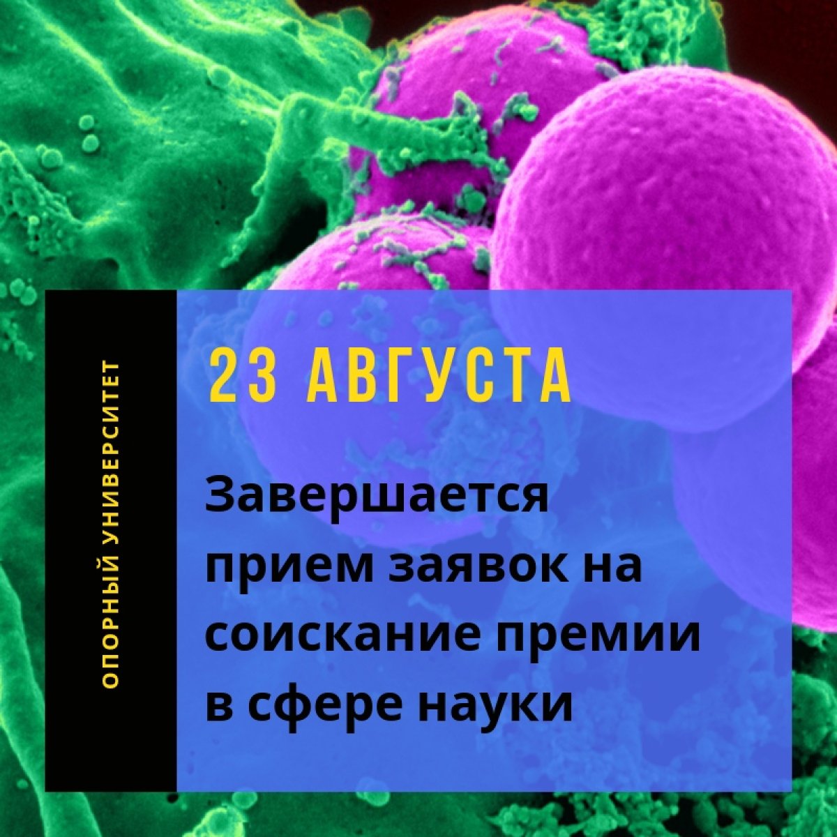 💰 для участия в конкурсе на соискание премий Волгоградской области в сфере науки и техники