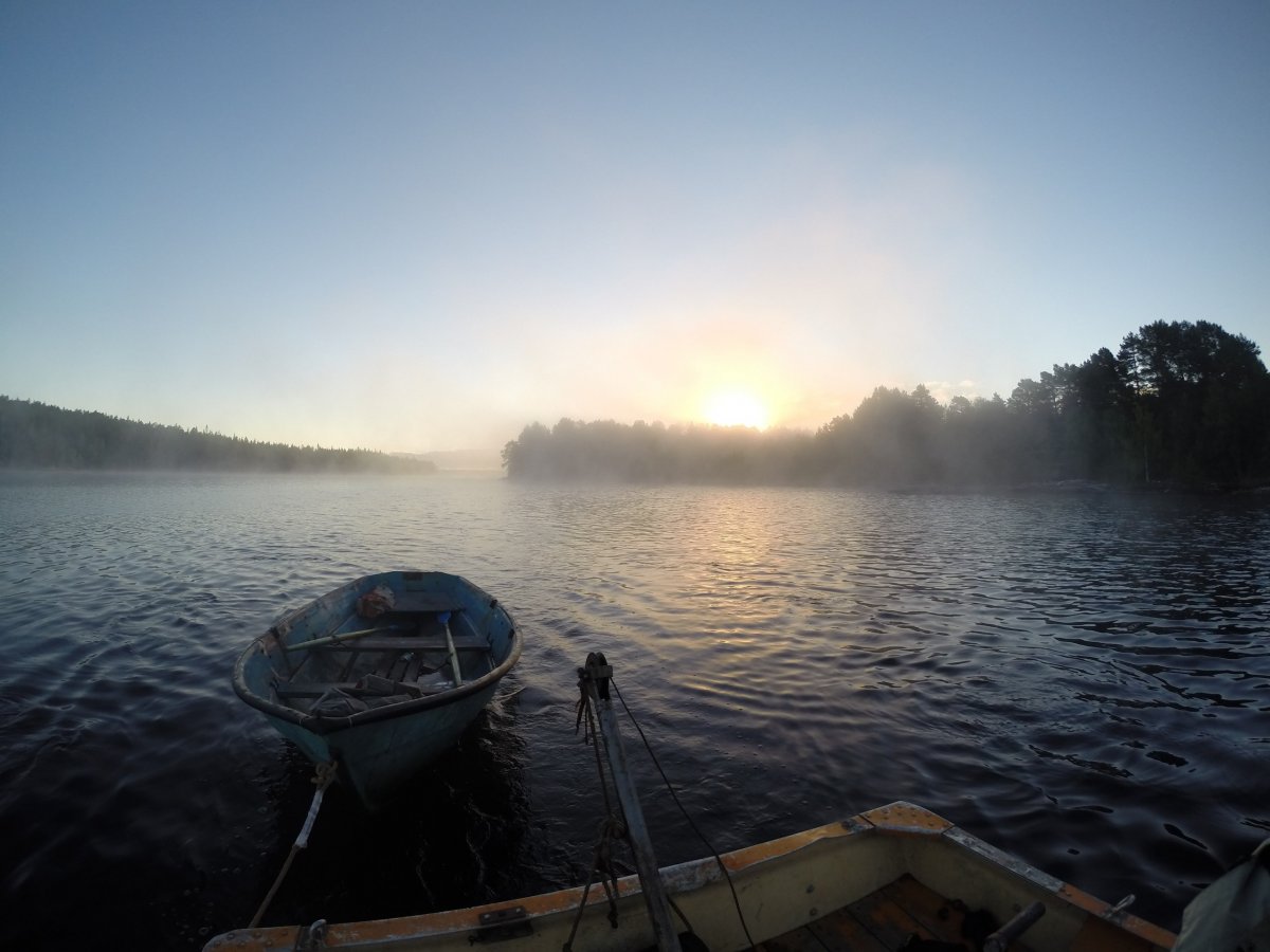 Из экспедиций и практик студентов