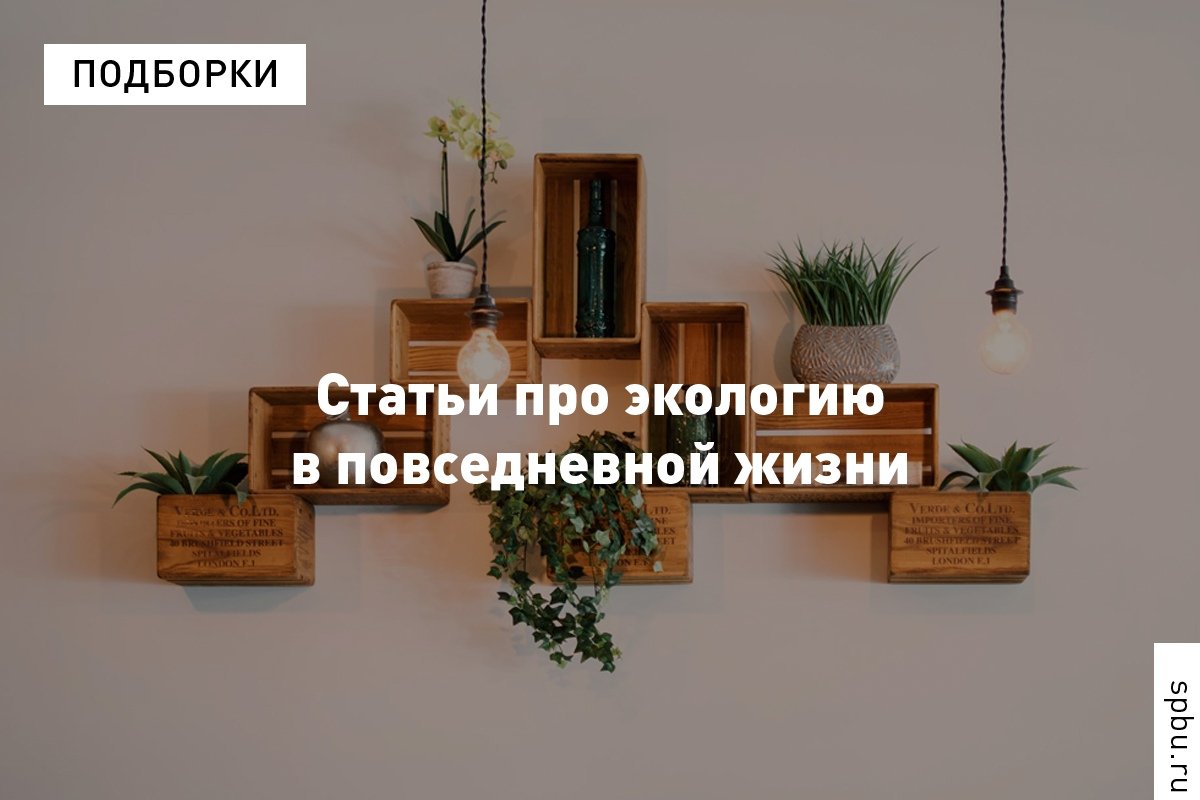 Вести экологичный образ жизни может каждый, уверены эко-активисты . Напоминаем, с чего можно начать.