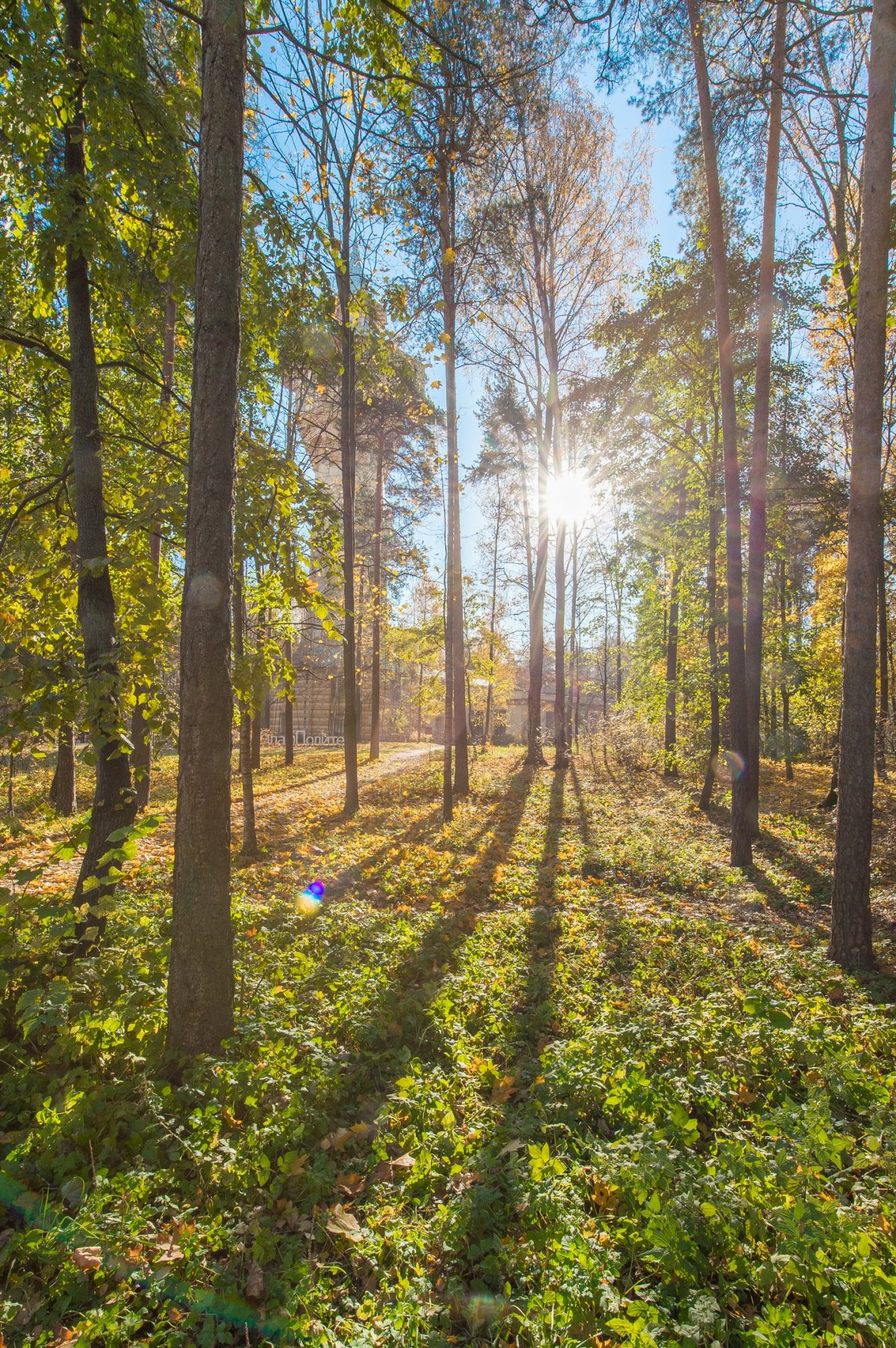 Осень подкралась незаметно 🍂