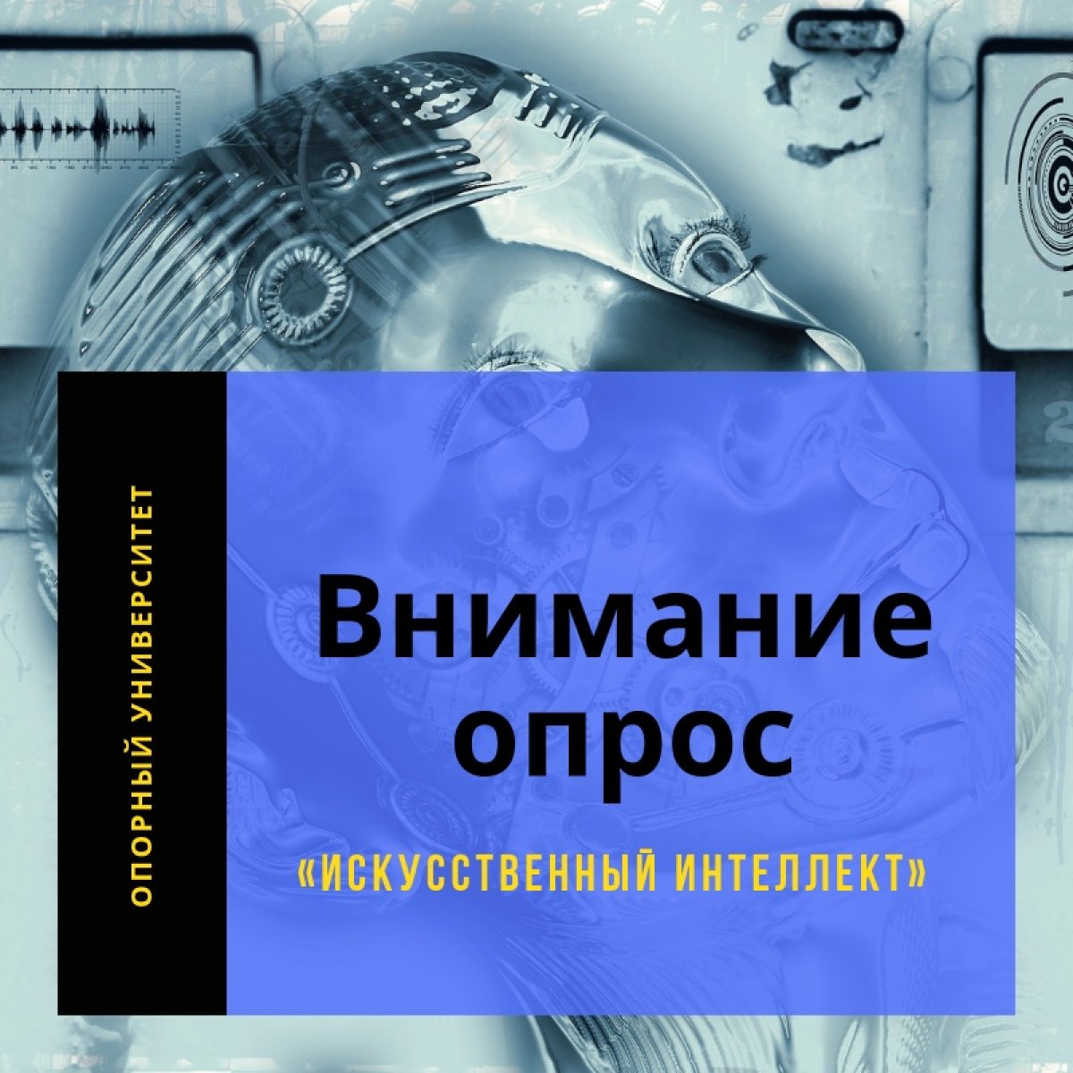 ▶ : политехников приглашают принять участие в общественном опросе