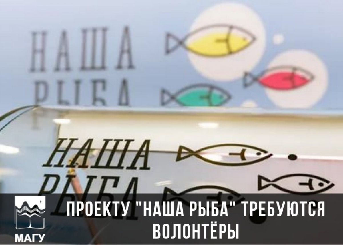 С июля в Мурманске проходит рыбная ярмарка под брендом "Наша рыба"
