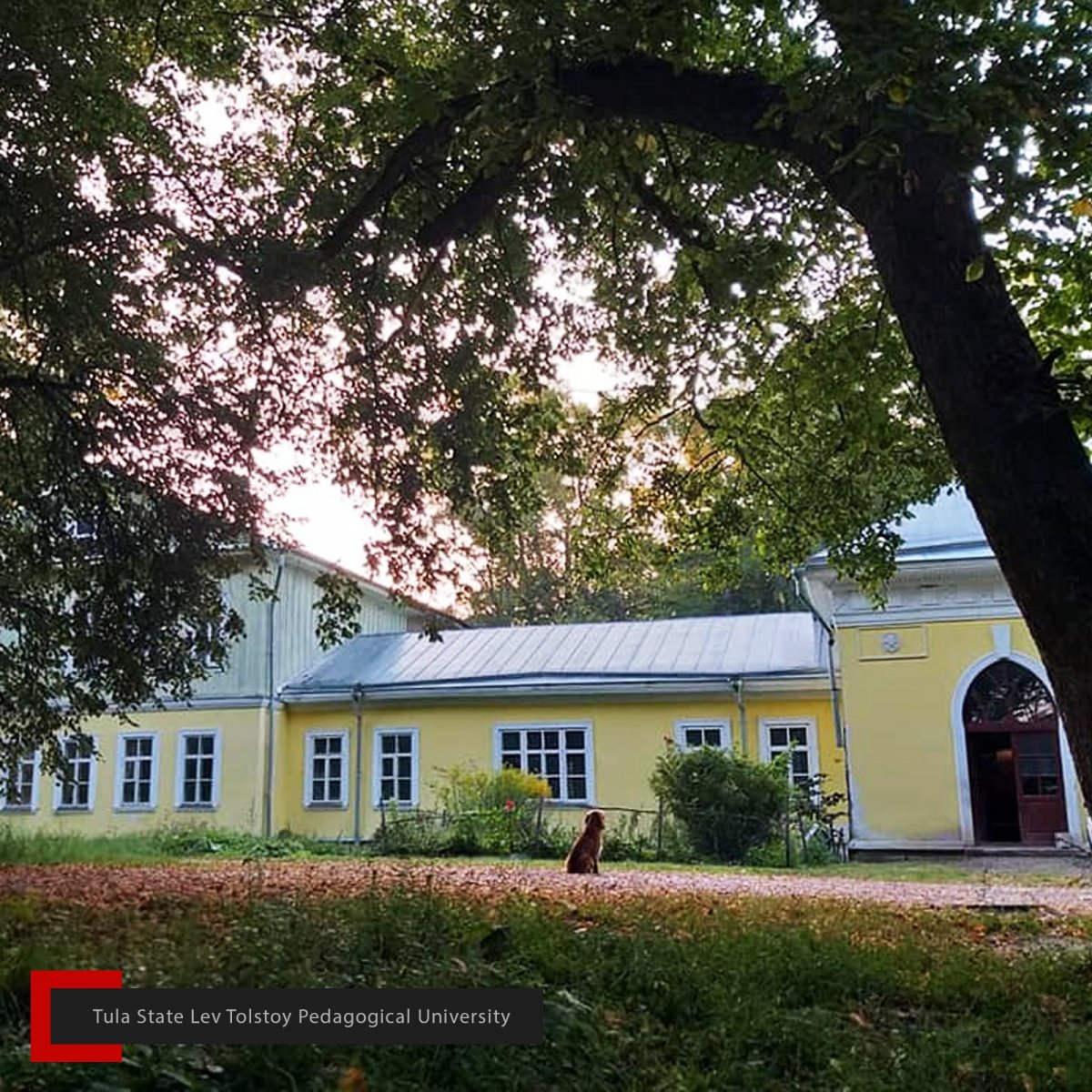 ✨ Партнёр ТГПУ им. Л.Н. Толстого «Хомяков home. Поэзия» ✨ Партнёр ТГПУ им. Л.Н. Толстого «Хомяков home. Поэзия»