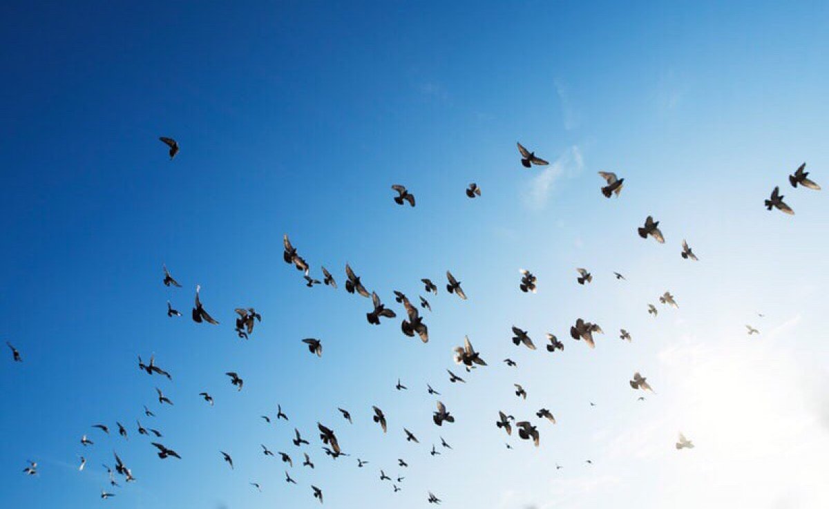 Чтобы небо над головой было мирным 🙌🏼