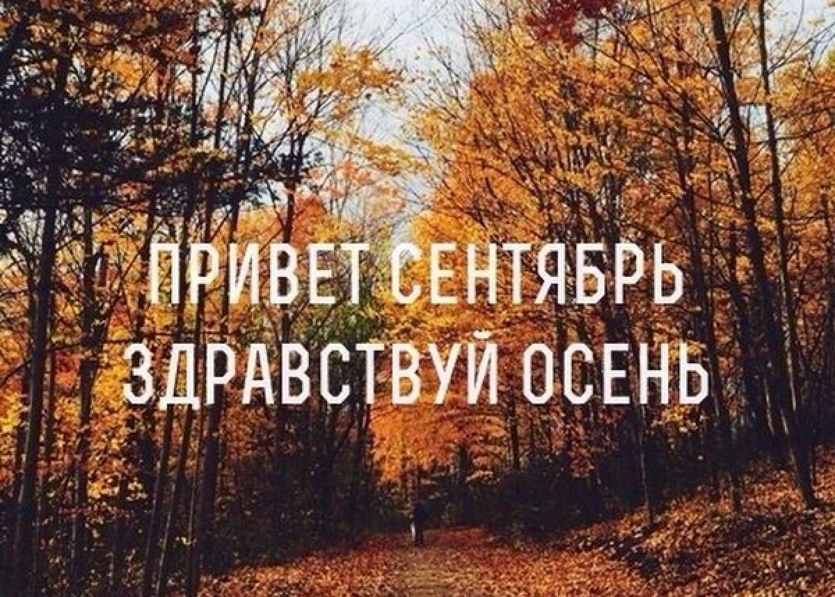 Новый месяц🗓