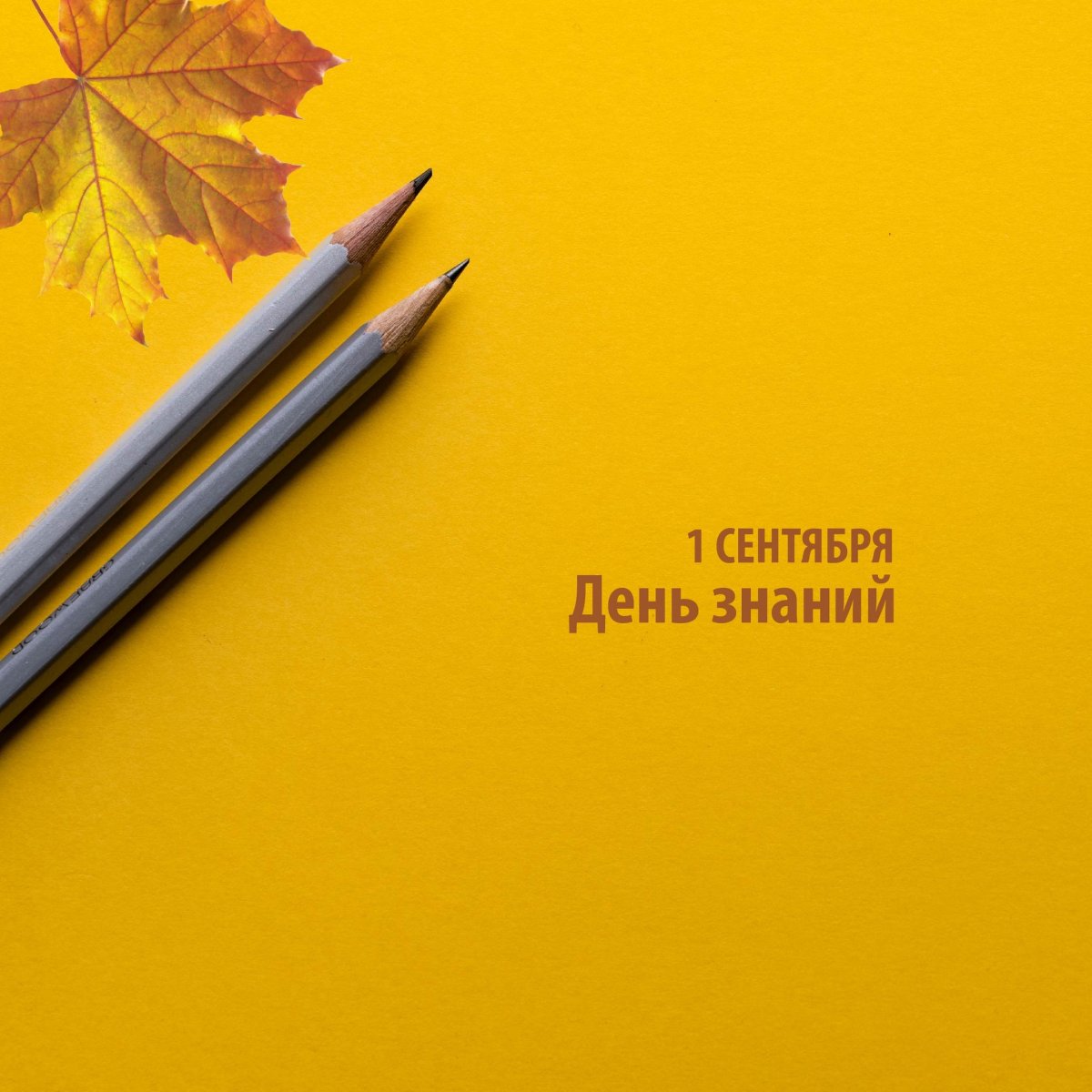 1 сентября – праздник преподавателей и учителей, студентов и школьников, их родителей, всех тех, чья профессиональная деятельность связана с образованием.