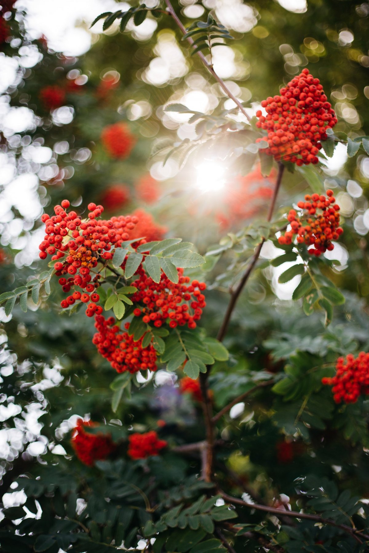 Просто пост настроения.