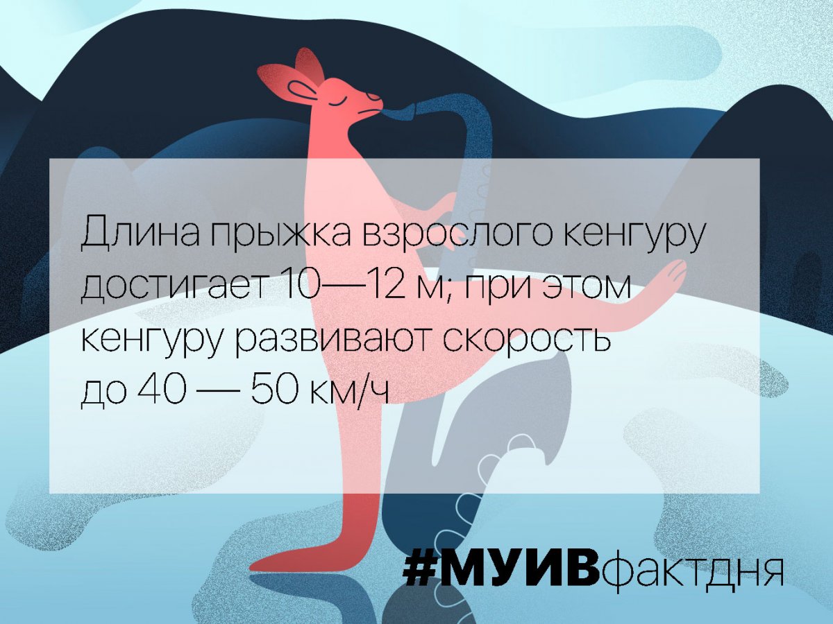  Новость от 05-09-2019