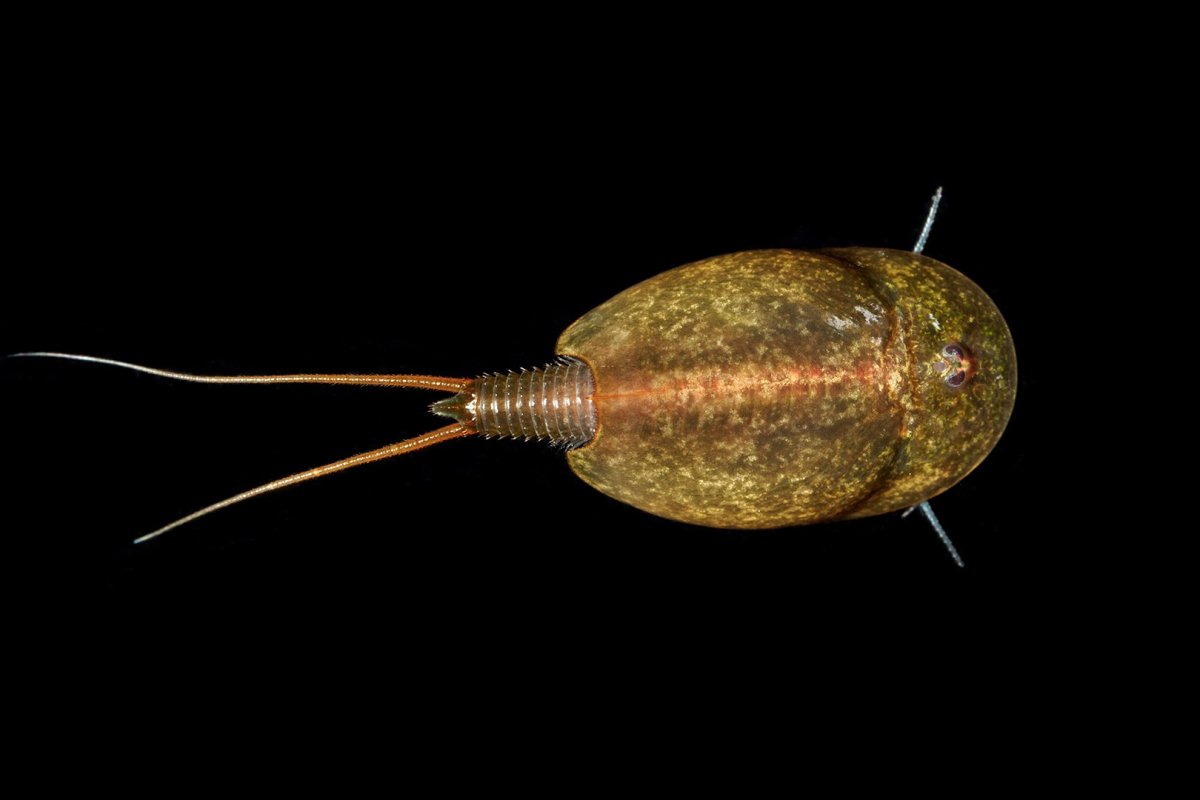  Новость от 08-09-2019