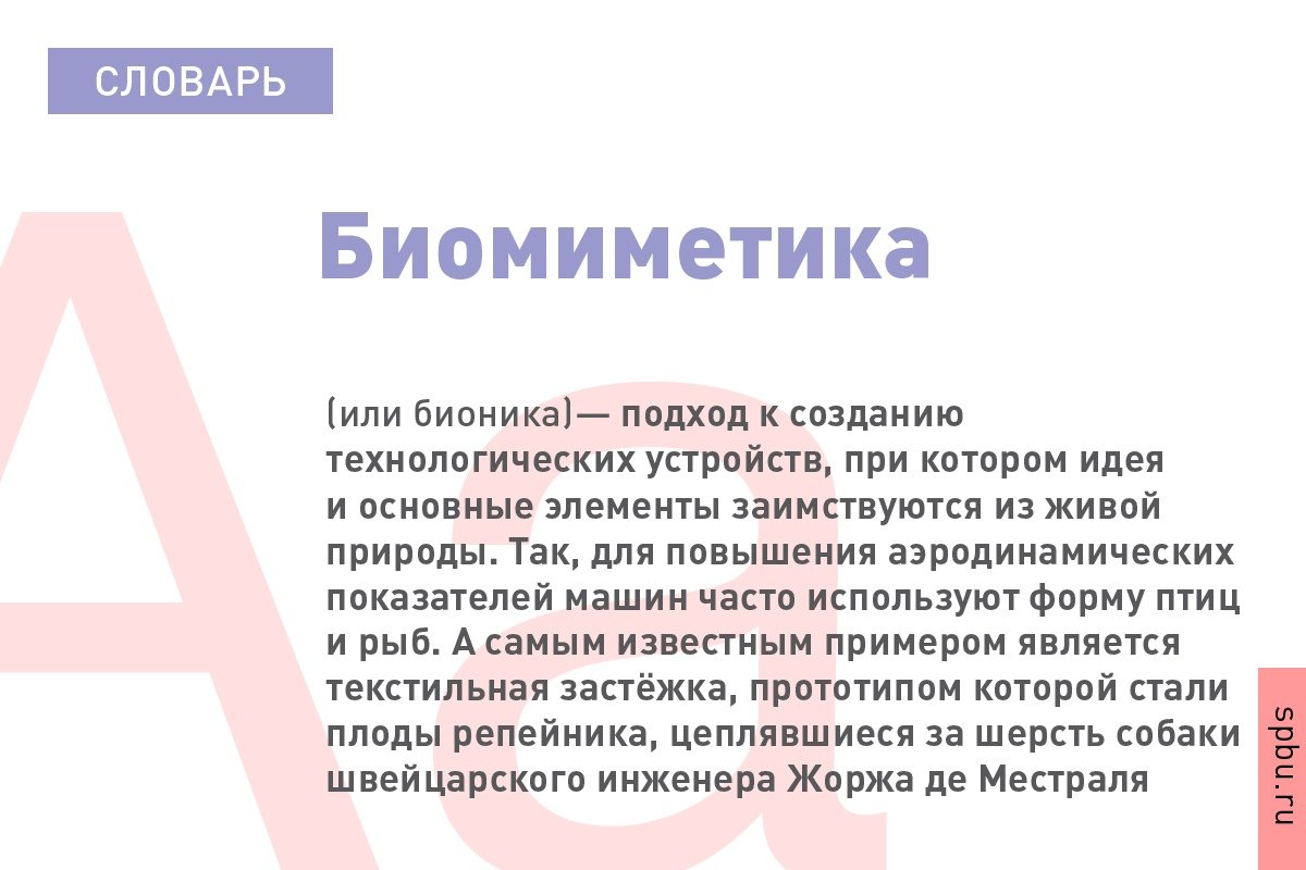  Новость от 08-09-2019