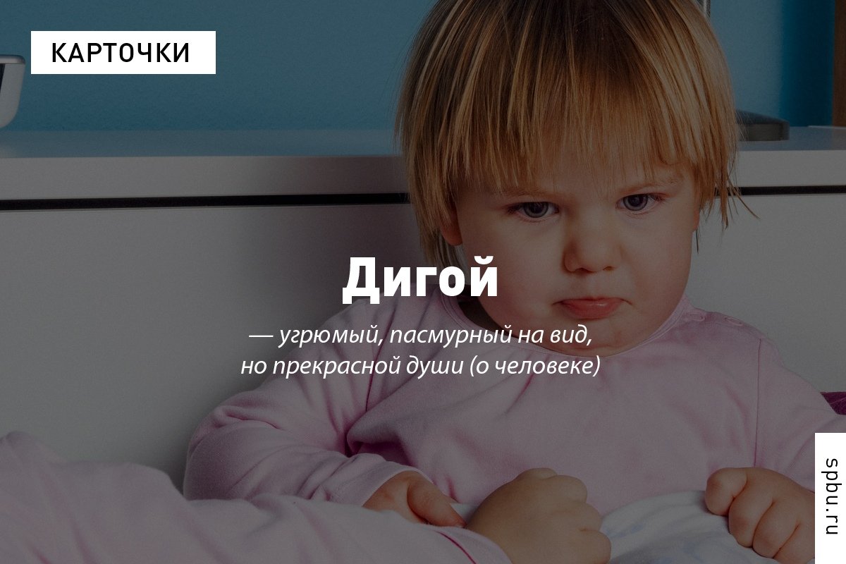 Издательство выпустило 27-й том регионального словаря, открывающего богатство речи коренных жителей Псковской области: https://vk.cc/9LbOqp