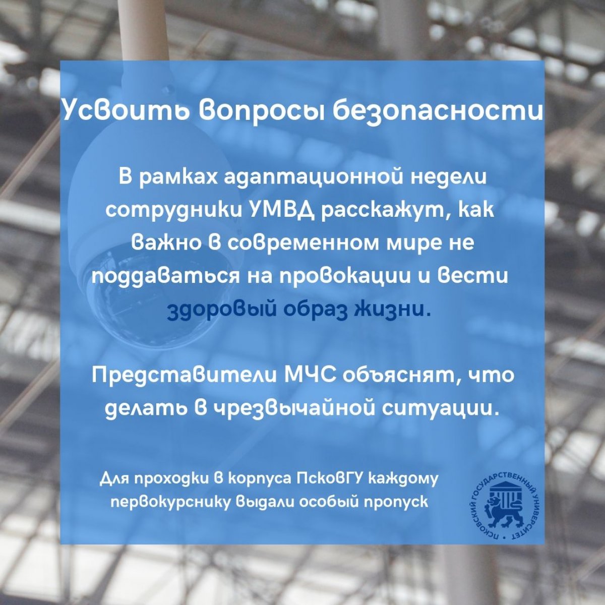 💥 Первая неделя сентября в традиционно посвящена адаптации первокурсников.