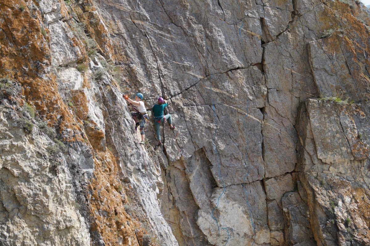 Начинаем год с побед! 💪🏻 Студентки СибГМУ заняли 1 место на Чемпионате города Томска по альпинизму (класс скальный).