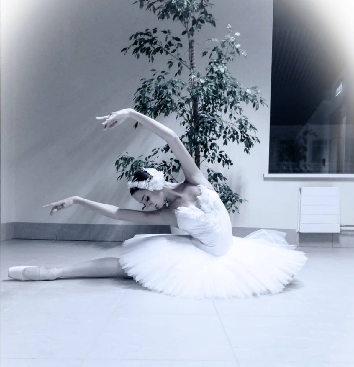 НАШИ ВЫПУСКНИКИ