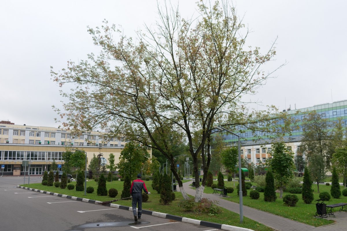 Между фотографиями — лето🌿