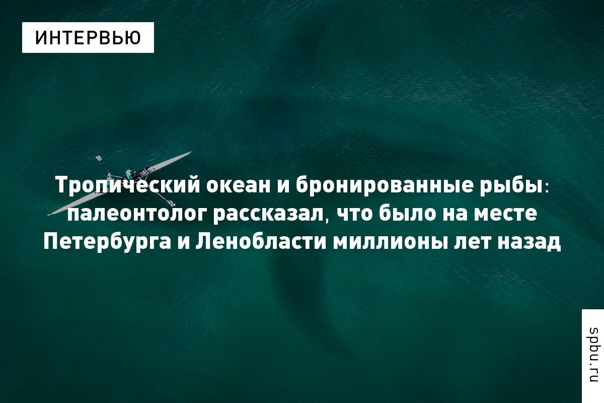 Какие удивительные создания обитали на территории современной Ленинградской области в глубокой древности