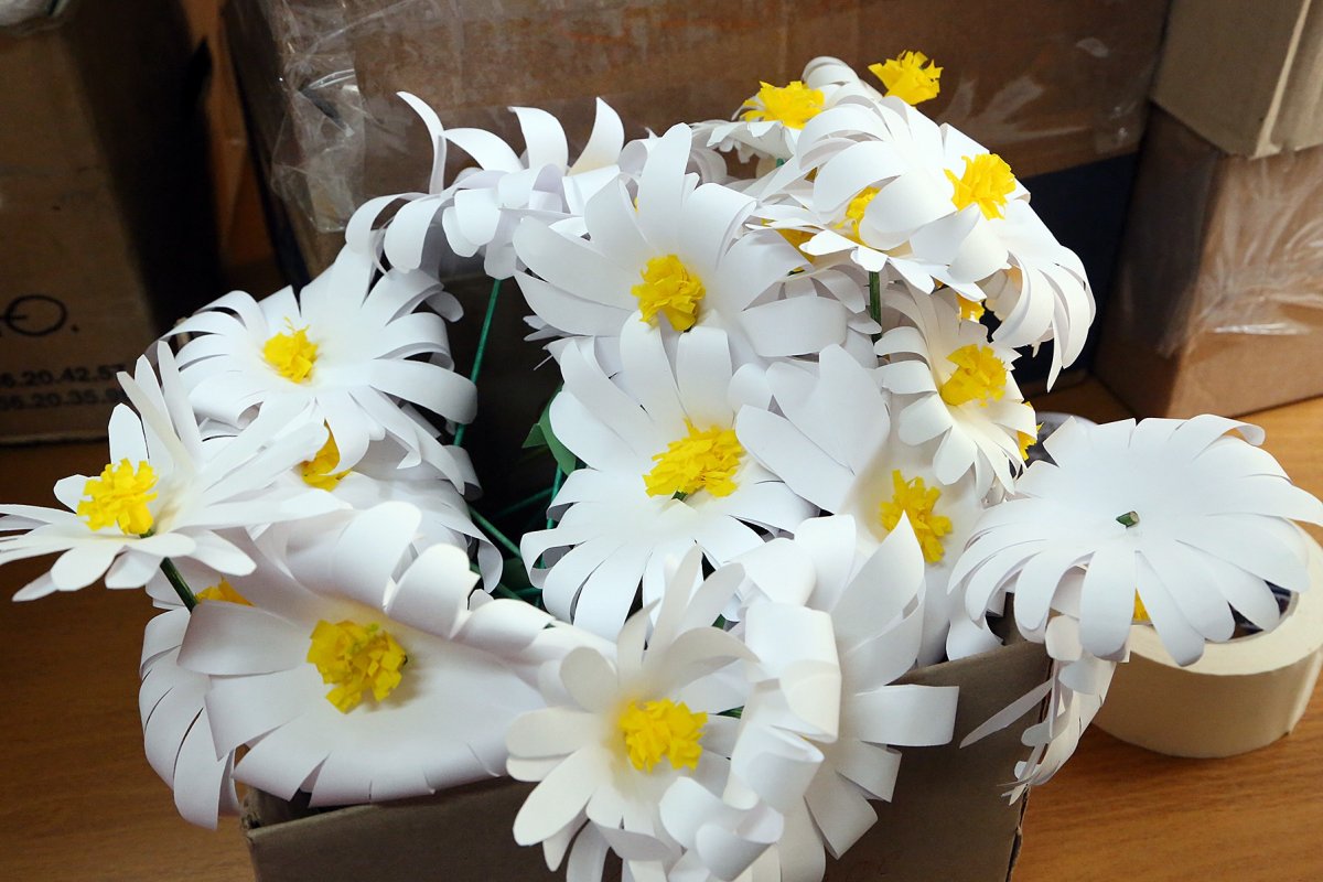 Акция "Белый цветок" 20-09-2019